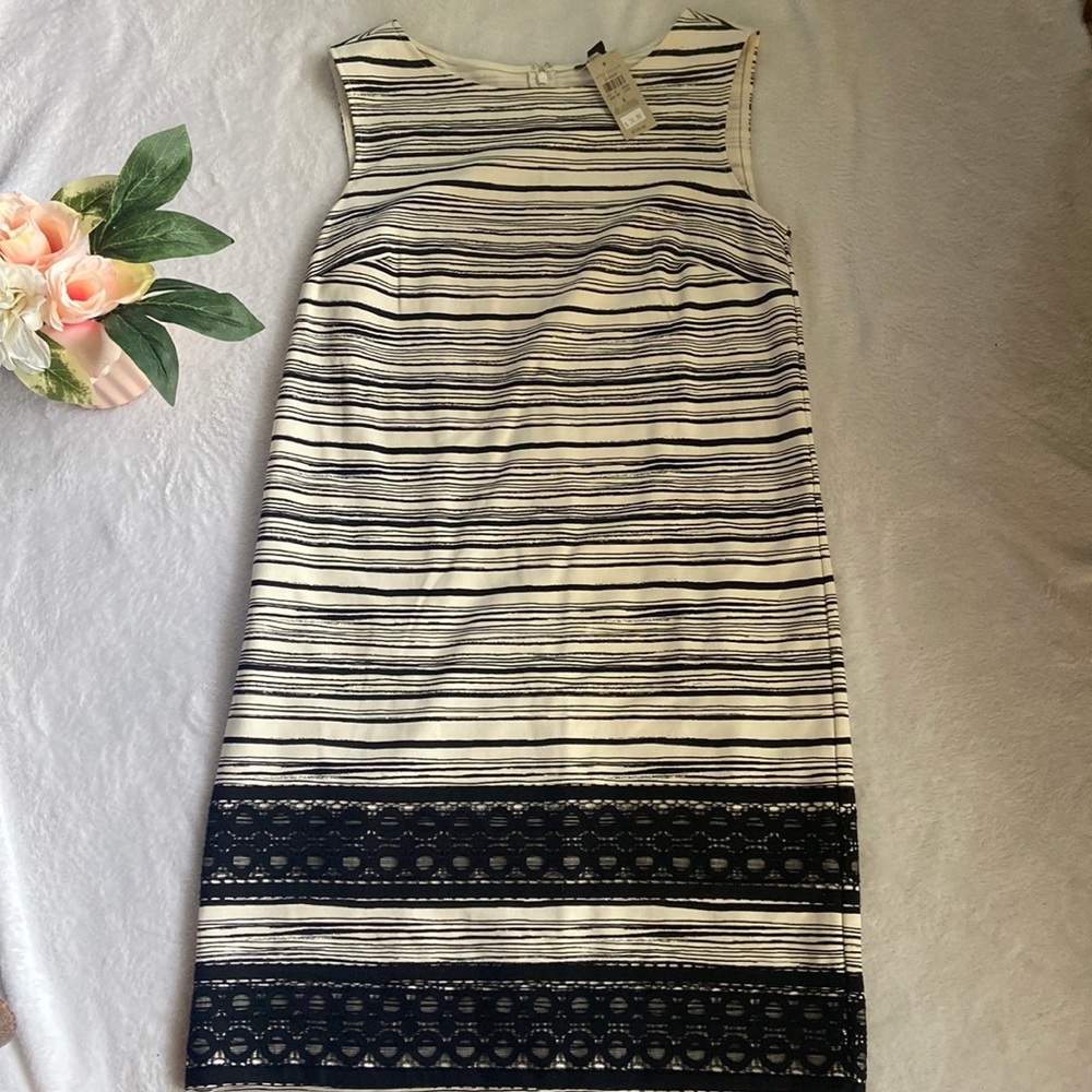 Cute NWT Ann Taylor Size 4 Dress Black & Off White With Lace Trim Hem Li…
